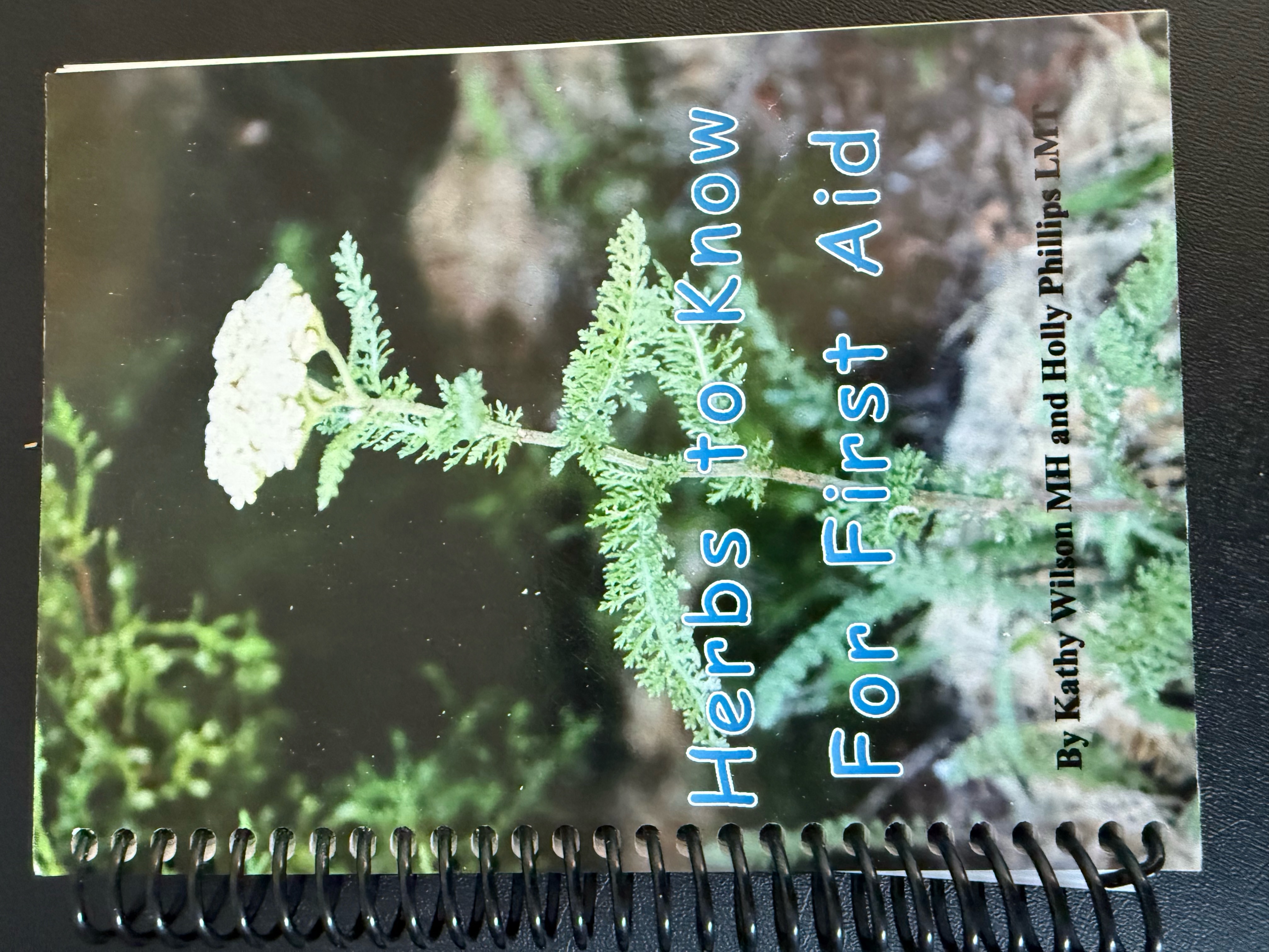 herbs to know for first aid